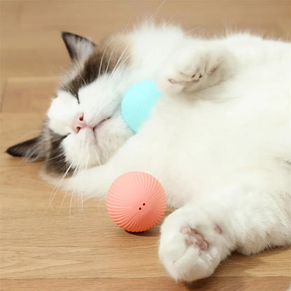 Smart Dog Toy Ball